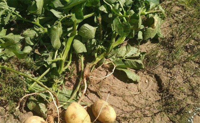 1648794572184074.jpg 1-220209112644Z9.jpg