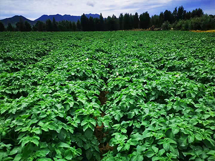 1648794733201926.jpg 1648794733201926.jpg